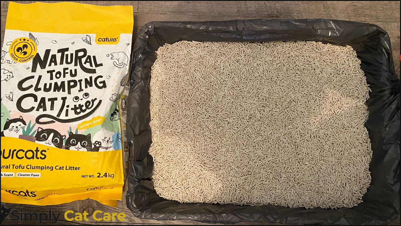 A photo of Cature tofu clumping cat litter, showing the cat litter in a tray.