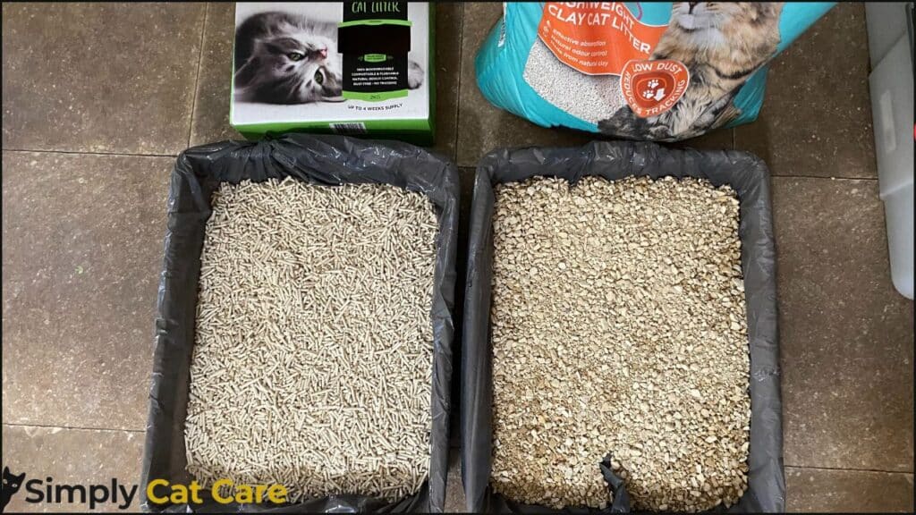 Two trays of cat litter side-by-side. This can help find out what cats prefer most. 