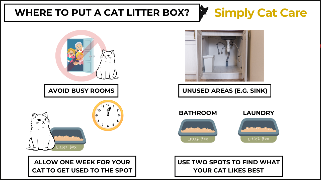 An infographic showing the best place for a cat litter box